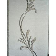 Romana фото