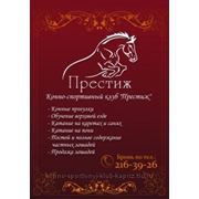 Конные прогулки фото