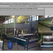 Автоматическая линия для окраски кожи (BM-Auto) фото