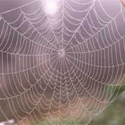 Интернет решения фото