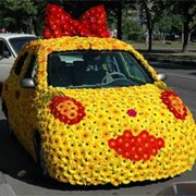 Розыгрыши фото