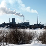 Сырое талловое масло фото