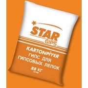Гипс для гипсовых лепок фото