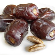 Финики фото