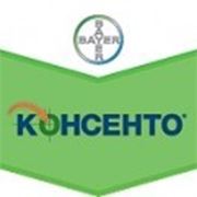 Фунгицид Консенто фото