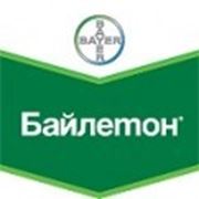 Фунгіцид Байлетон фото