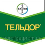 Фунгицид Тельдор фото