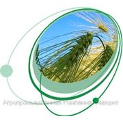 Гербициды (Bayer, Nufarm, Basf AG, Syngenta, Du Pont, DowAgro, Август, Нертус, Cheminova фото