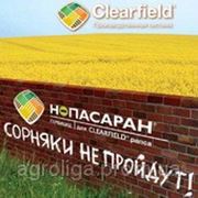Гербицид Нопасаран фото