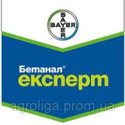 Бетанал Експерт фото