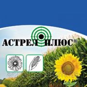Астрел плюс фото