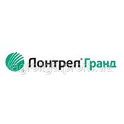 Гербицид Лонтрел Гранд 75 фото
