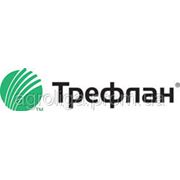 Гербицид Трефлан 480 фото