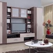 Гостиная Альфа фото