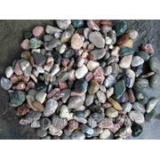 Камень Галька из горных рек кавказского хребта мелкая фото