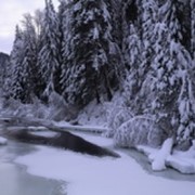 Печать фотографий с цифровых носителей фото