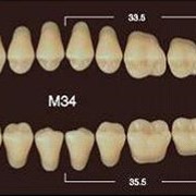 Частичный гарнитур 8шт. Жевательные верхние A4 M34 фото