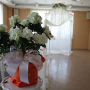 Оформление помещений живыми цветами фото