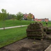 Благоустройство территории фото