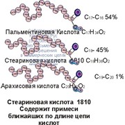 Стеариновая кислота фото