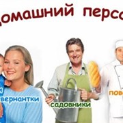 Подбор домашнего персонала фото