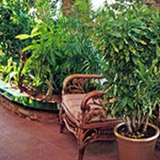Фасады декоративные фото