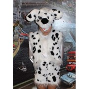 Костюм Собачка далматинец фото