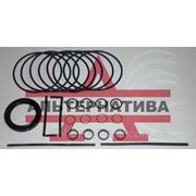 Набор Резинотехнических изделий для ремонта двигателя Д-65 фото