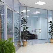 Маятниковая стеклянная дверь фото