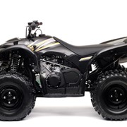 Мотовездеход Wolverine 450 фото
