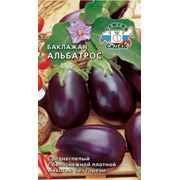 Семена баклажана .Плодоовощные культуры фото