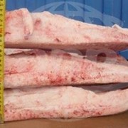 Шпик шейный Guijuelo фото