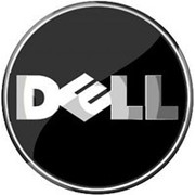 Дисковый массив DELL 770-BBCN фото
