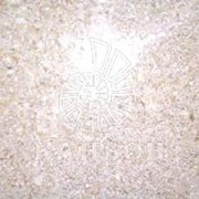 Известняк полированный фото
