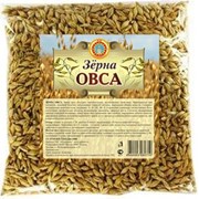 Зерна овса, фасованные 250 грамм фото
