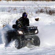 Квадроцикл Stels ATV 700 GT фото