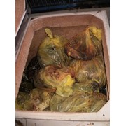 Утилизация медицинских отходов фото