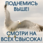 Поисковая оптимизация сайта (SEO) фото