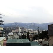 Сдам посуточно квартиру Ялта фото