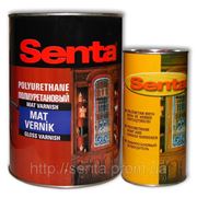 Двухкомпонентный полиуретановый порозаполнительный лак Senta фото