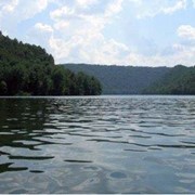 Экологические изыскания фото