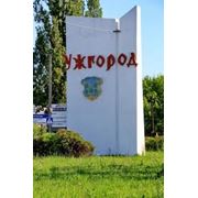 Перевезти больного из Ужгорода в Запорожье в Омск в Брест - “ДоброМед“ фото