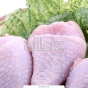 Контроль качества продуктов питания фото