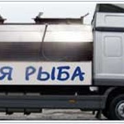 Рыбоконтейнеры РК – 2,8 фото