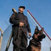 Охрана объектов фото