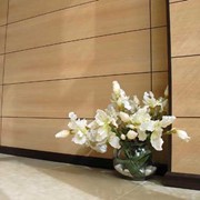 Фиброцементные интерьерные панели Konoshima фото