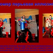 Номер Перьевая иллюзия фото