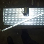 Антивандальный светильник фото