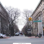 Колледжи за рубежом фото
