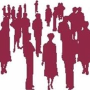 Организация поиска и подбора персонала всех уровней фото